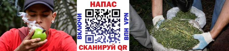 Купить наркотики цена Лермонтов Гашиш  Бошки Шишки  КОКАИН  Псилоцибиновые грибы  Меф мяу мяу 