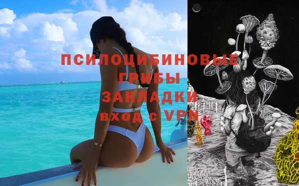 тгк Алзамай
