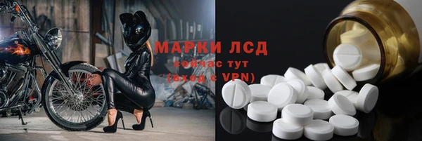 тгк Алзамай