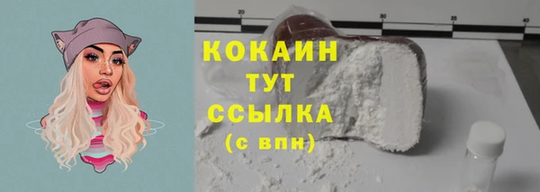 тгк Алзамай
