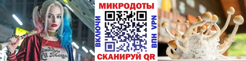 купить наркоту  Лермонтов  Галлюциногенные грибы GOLDEN TEACHER 