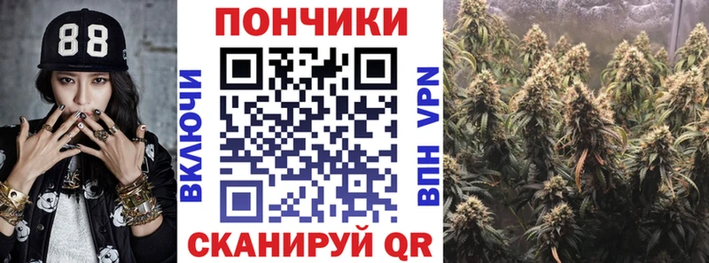 Бошки марихуана сатива mega сайт Лермонтов